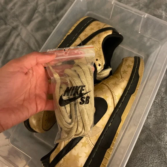 Nike trickstar dunk